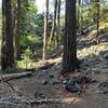 As of June 2022, there's a small sign and a cairn pointing out the uphill rocky trail on the right.