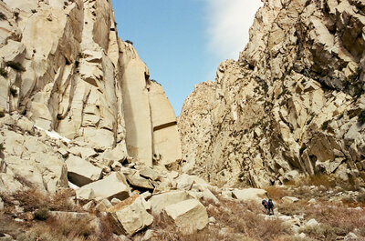 Early spring morning shot on film