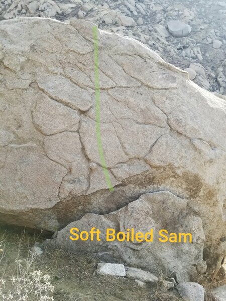 Soft Boiled Sam