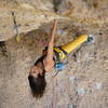 lana entering the short and super fun crux