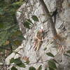 Doug A. at Oak tree rap/belay station.  We did the whole climb.  Best to stop and rap from where Doug is belaying.  As of AUG 2022, brand new heavy cord and quick links installed at the tree.  Nice first pitch on good rock.