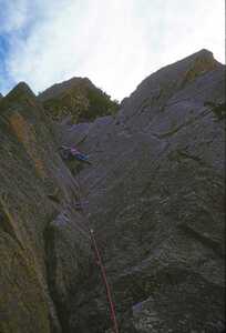 Wendy Weiss leading Over the Hill in 1988.