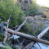 The river crossing from the trail. The main log has a rope attached