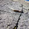 The splitter crack on pitch 6.