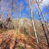 The Main Face from down in the woods.  The bushwhack to the cliff, mostly contouring @ ~ 2000' from the hiking trail, really isn't too bad.  A reasonable alternative to the typical approach.