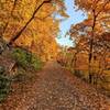 A perfect fall morning at the Gunks.