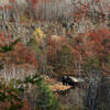 looking across the river from the top of the cliff line over to the river boulders during the fall.