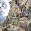 Climber resting on ledge between Cinq Jour D'Affille and Cookie Crumble