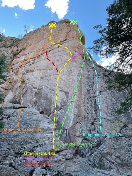 A topo of the left side of TBB as of Nov. 2022.