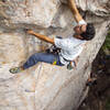 Photo of Clayton Herrmann by Adam McClatchie