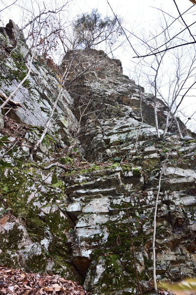Doldrums, Climbers Left side.