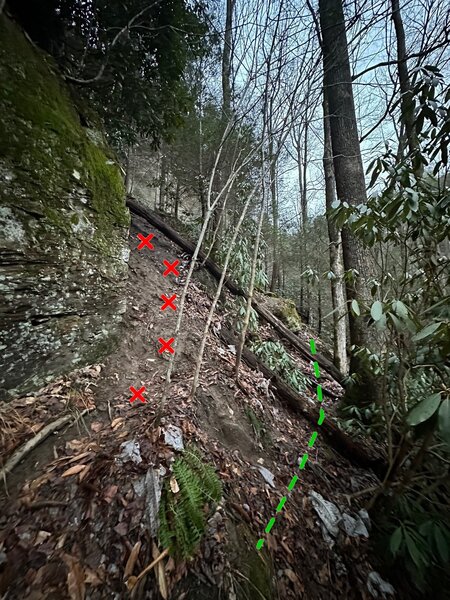 If you're going to the rightmost section of Global Village, follow the trail on the right side of this photo. It is much easier than the eroded mudslide to the left. The right trail comes up to the cliff at "Casual Viewing" (5.7 trad line).