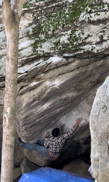 Climb Across the Tracks, Yosemite National Park