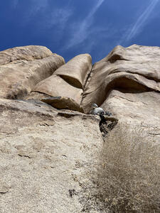 Nick G starting No Self Confidence