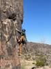 Bob casually climbing on an early morning of April 2023.