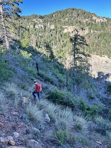 Approach topo (instruction # 4 in comment section)