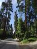 Kuffel Canyon Road, Lake Arrowhead