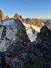 Using the bivy ledge/tower as your visual guide, cross over this short ridge and you'll find a nice gully waiting for you (climbers right of the bivy spot).