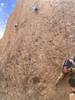 Climbers on L-R Leather & Lace, Pick A Pocket and Itsy Bitsy Spider