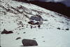 Hiking above the hut  1992