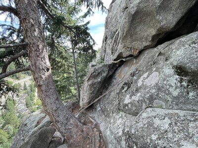 Rap anchors from near the top of the formation are hidden behind a tree and boulder.