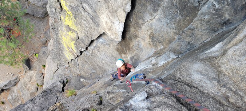 Pam following pitch 1