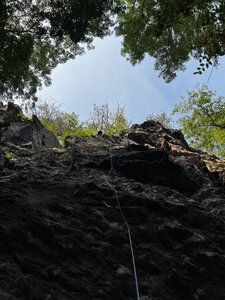 The newly perma drawed Fish Hooks