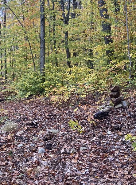 This cairn (2023) marks where you leave the logging road and head up the drainage gully to the crag.