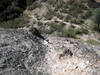 View from the top of the start of the 3rd class descent from The Flumes backside