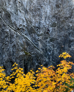 Fall colors at the quarry
