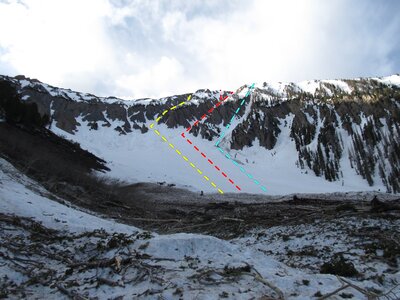 Champagne chute sale