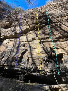 All that Twitters(left), Rules of Engagement(center), Squirrels gone Wild (right)