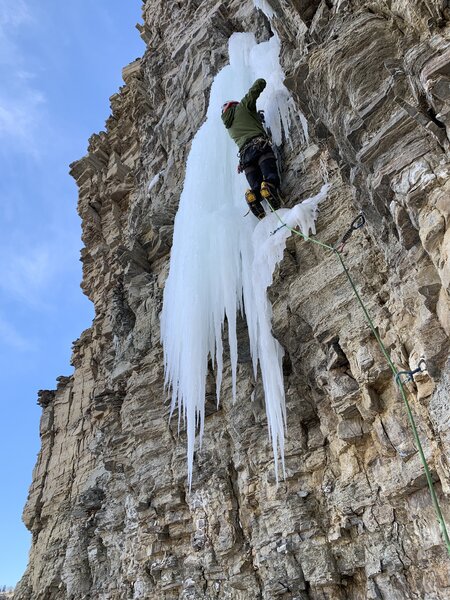 Madison on FA after placing lower bolts