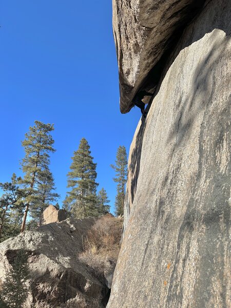 Alex R. getting swallowed up on Man-Eater Wall's namesake 110 feet offwidth, layback, kneebar, jamming, stemming, face climbing, slabbing, and chimney traverse.