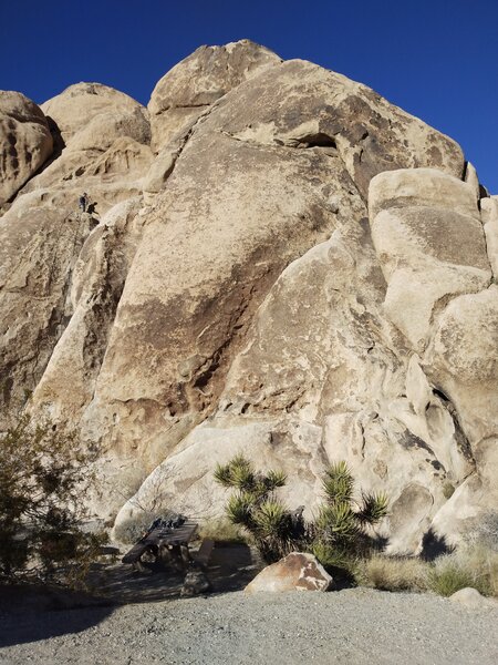 Climber at the anchors of McStain (5.9), Joshua Tree NP
