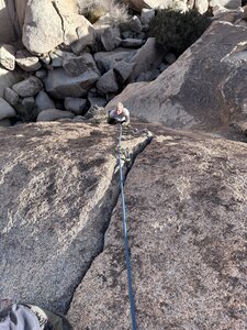 JC navigating around the bush on Chosen Family.