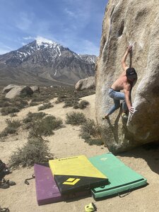 Getting established on Buttermilk Stem