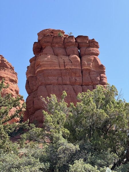 A view of Ursa Minor from the trail