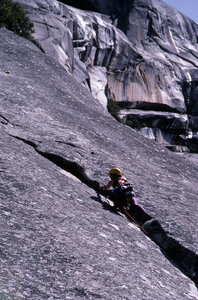 Linda McMillan leading Face Card in May 1987.