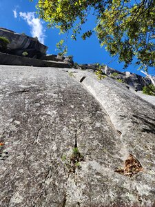 Face Card on May 25, 2024.