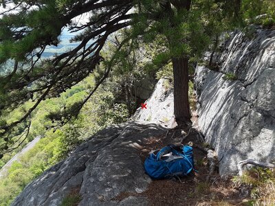 Pine tree you can use as anchor for 3rd pitch (protect follower from swing). bolts to rap are at the X