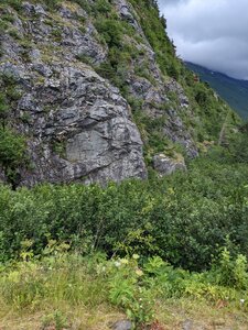 The wall as seen from the road just before following the faint path through the alders
