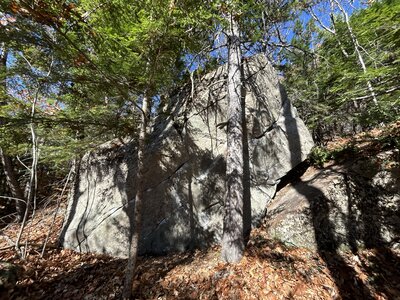 Transpirational Pull