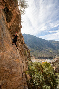 At the anchors high above the trees