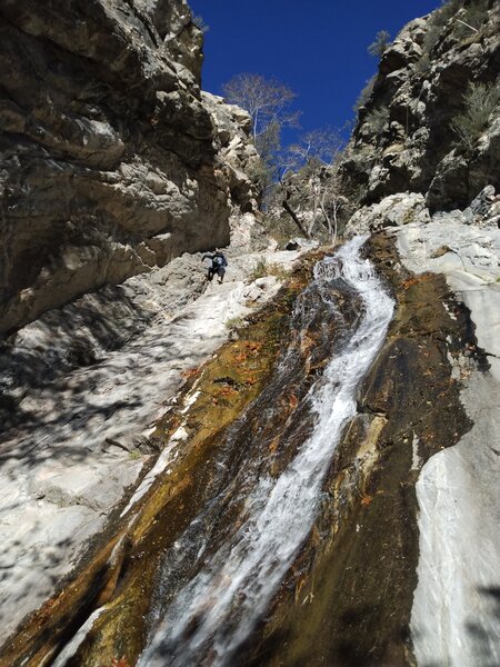 Mixed line left of the waterfall, Monkeyface Falls
