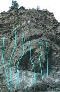 1. Snoopy.<br>
2. Black Dog.<br>
3. Fiddler on the Woof.<br>
4. Mighty Dog.<br>
5. Big Dog.<br>
6.