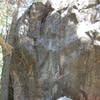 Classic boulders also abound at Newlin Creek.