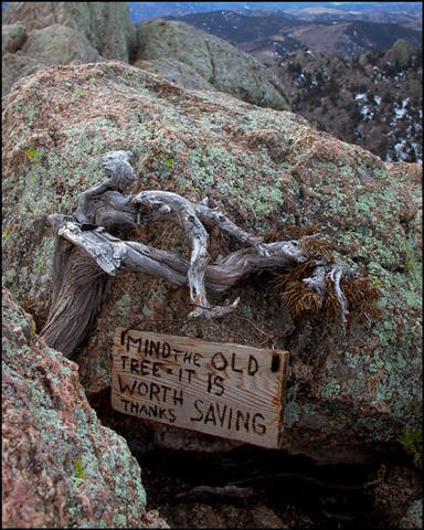 Artifacts on Greyrock's summit, January, '05.