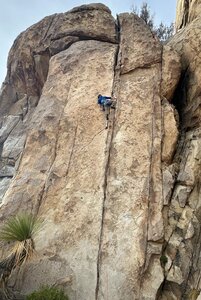 A much needed rest after the spiciest business of Tax Man