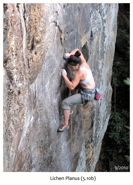 PE 1652: Outdoor Basic Rock Climbing - Fall Break | Student